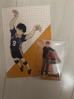 ハイキュータッチザドリーム　ハイドリ　影山飛雄　クリアカード