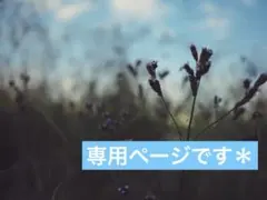 りん♪様5月分専用ページです＊
