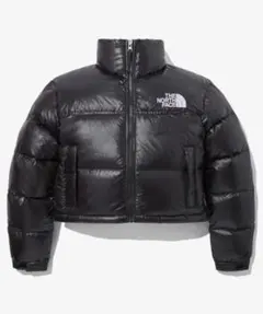 THE NORTH FACE 【韓国限定・日本未入荷】ヌプシダウンジャケット