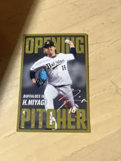 カルビー　プロ野球スピリッツ　ポテトチップス　宮城大弥　サイン入り