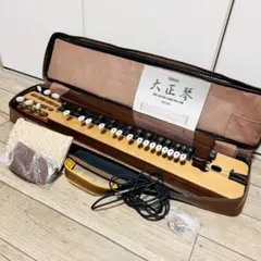 YAMAHA ヤマハ TH-10M 大正琴 中古品】YAMAHA ヤマハ 大正琴 弦楽器 ソフトケース付き TH-10M 〇YR