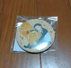Re:ゼロから始める異世界生活 ナツキスバル 缶バッジ リゼロ スバル