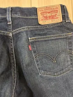 Levi's 514 デニム W30 L32