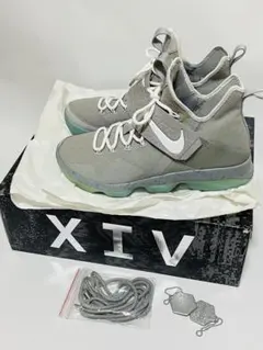 Nike LEBRON XIV グレー 10.5