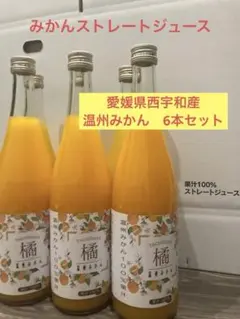 組合せ自由】1L×4本 ストレートジュース 温州みかん 不知火 果汁100