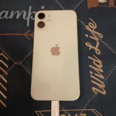 Apple iPhone 11 ミントグリーン 本体 128GB