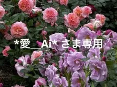 *愛＿Ai* さま専用ページ