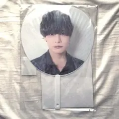 Item thumbnail for item a6b521d8-356b-4850-8f34-c7e799a1f8e8