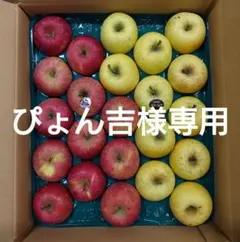 【 ぴょん吉様専用】