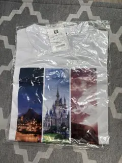 東京ディズニーリゾート　風景柄Tシャツ Sサイズ