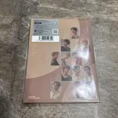 SEVENTEEN 舞い落ちる花びら