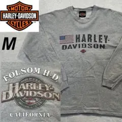 HARLEY-DAVIDSON 00's 長袖　Tシャツ　プリント　グレー　M