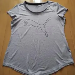 PUMA Tシャツ XL DRY CELL パープル フィットネス