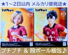 【新品未開封】 ハイキュー!! ハイプレミアムフィギュア 黒尾鉄朗 孤爪研磨