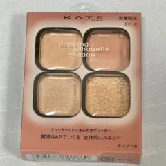 KATE ポッピングシルエットシャドウ EX-2