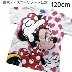 Item thumbnail for item 5387c326-1693-4c46-b14b-aa4a393f863b