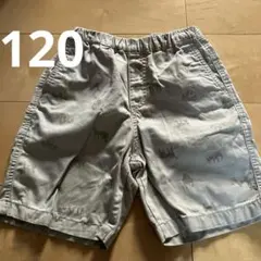 UNIQLO 動物柄 半ズボン 120