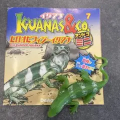 イグアナ＆coミニ ヒロオビフィジーイグアナ　アンドコミニ