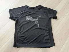 PUMA ブラック Tシャツ 3枚セット