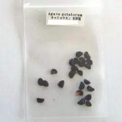 サト様 リクエスト 2点 まとめ商品