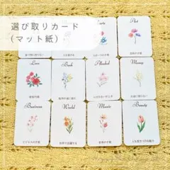 1歳 誕生日 選び取りカード