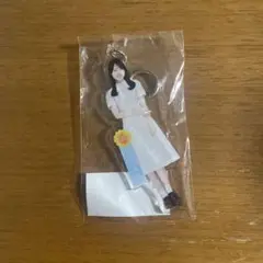 乃木坂46 是非に及ばず 賀喜 遥香 アクリル キーホルダー