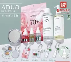 Anua（アヌア） ミニチュアチャーム コンプリート