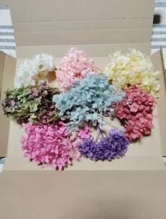 Item thumbnail for item 7f3b8ffb-9053-4065-beb7-2e7b851d4d11