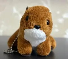 テイクオフ ぬいぐるみ カワウソ　May ストラップ