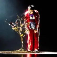 希少 菅田将暉 3XL adidas アディダス スウェット ハーフジップ