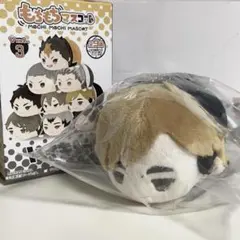 ハイキュー!!もちもちマスコットvol.3 ￤宮侑