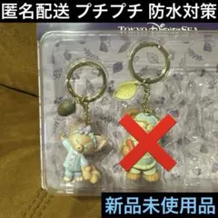 リーナベル♦︎キーチェーン♦︎フォールズサウンドインビテーション♦︎キーホルダーのサムネイル