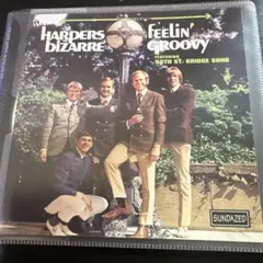 わいるどはにー様 リクエスト 2点 まとめ商品