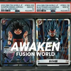 連番PSA10】孫悟空 SCR パラレル 覚醒の鼓動 シークレット - メルカリ
