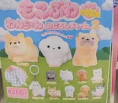 もこぷわわんちゃん めじるしチャーム2 トイプー２個