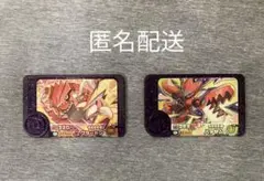 ポケモンフレンダ ベストタッグ２弾 グラードン、ハッサム