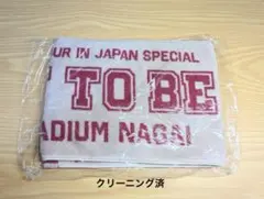 【クリーニング済】TWICE ワルツ マフラータオル ヤンマースタジアム長居