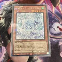 マルチャミーフワロス