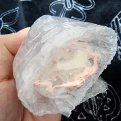 イーブイ チャーム