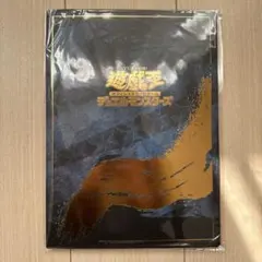 遊戯王 デュエルモンスターズ カードホルダー 25周年記念