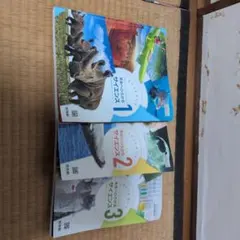 Item thumbnail for item 4a4fc0b1-34f6-421c-b6d2-955d81446645