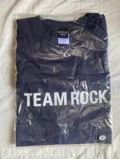 Item thumbnail for item 93862aa4-98fc-45a5-9f4f-f01ffb31742f