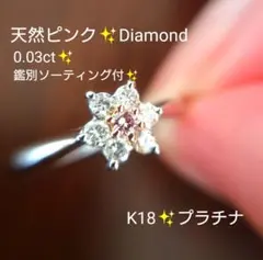 2025年最新】天然ダイヤモンド フラワーデザイン リングの人気アイテム