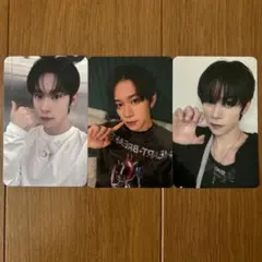 younite スティーブ whoop スキヤキ トレカ