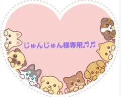 じゅんじゅん様専用♬