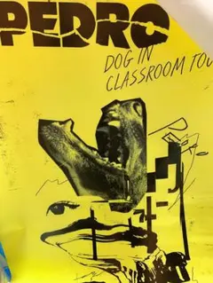 PEDROちっぽけな夜明け Tシャツ チャコール　Lサイズ　ポスターポストカード ちっぽけな夜明け complete set(サイン入りチェキ＋B2ポスター