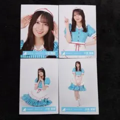 日向坂46 小坂菜緒【読書コーデ+ハロウィン+君しか勝たん】3種　コンプリート 日向坂46 小坂菜緒 読書コーデ 4種コンプ - メルカリ