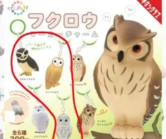 フクロウ マーカーチャーム 3種セット