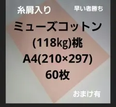 Item thumbnail for item 51a187bb-05dd-4d25-a72d-d5891e1f51f2