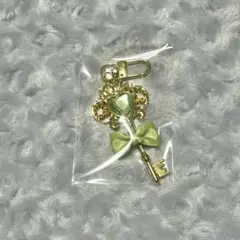 ディズニー プリンセス 鍵 ティアナ